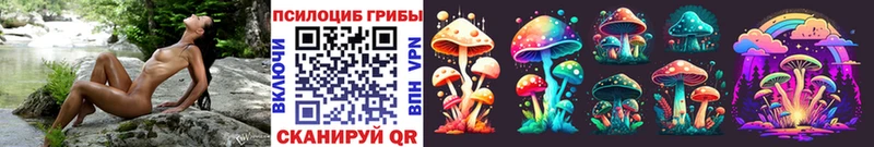 где купить наркотик  Ачхой-Мартан  мориарти формула  Галлюциногенные грибы Cubensis 